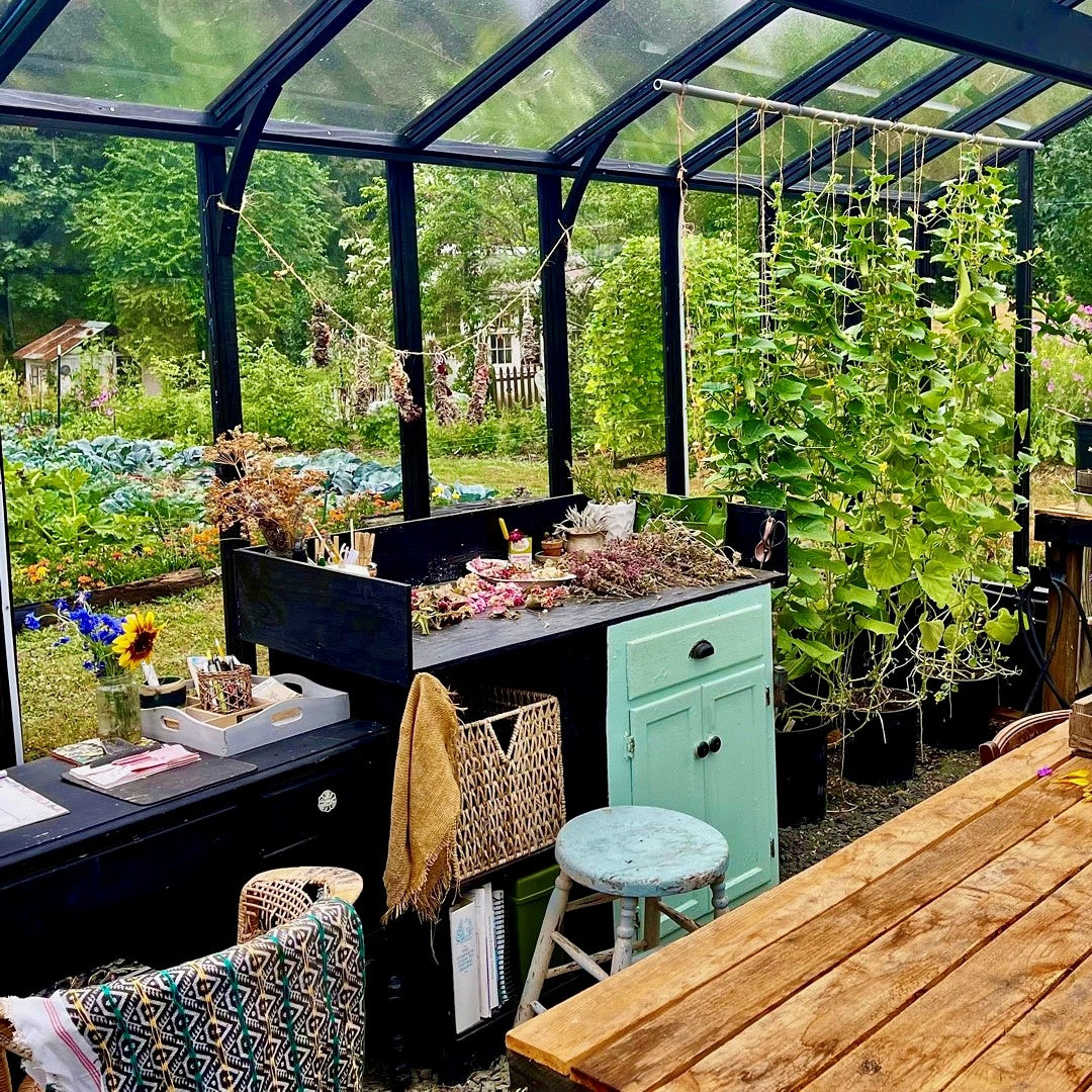 Greenhouse with gardening tools, plants, and a wooden table.