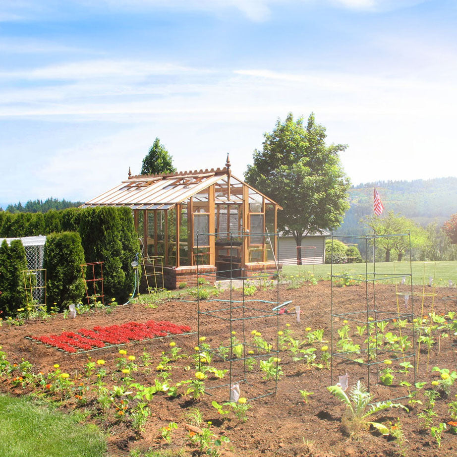 Vegetable garden with an Artisan greenhouse and various plants under a clear blue sky.