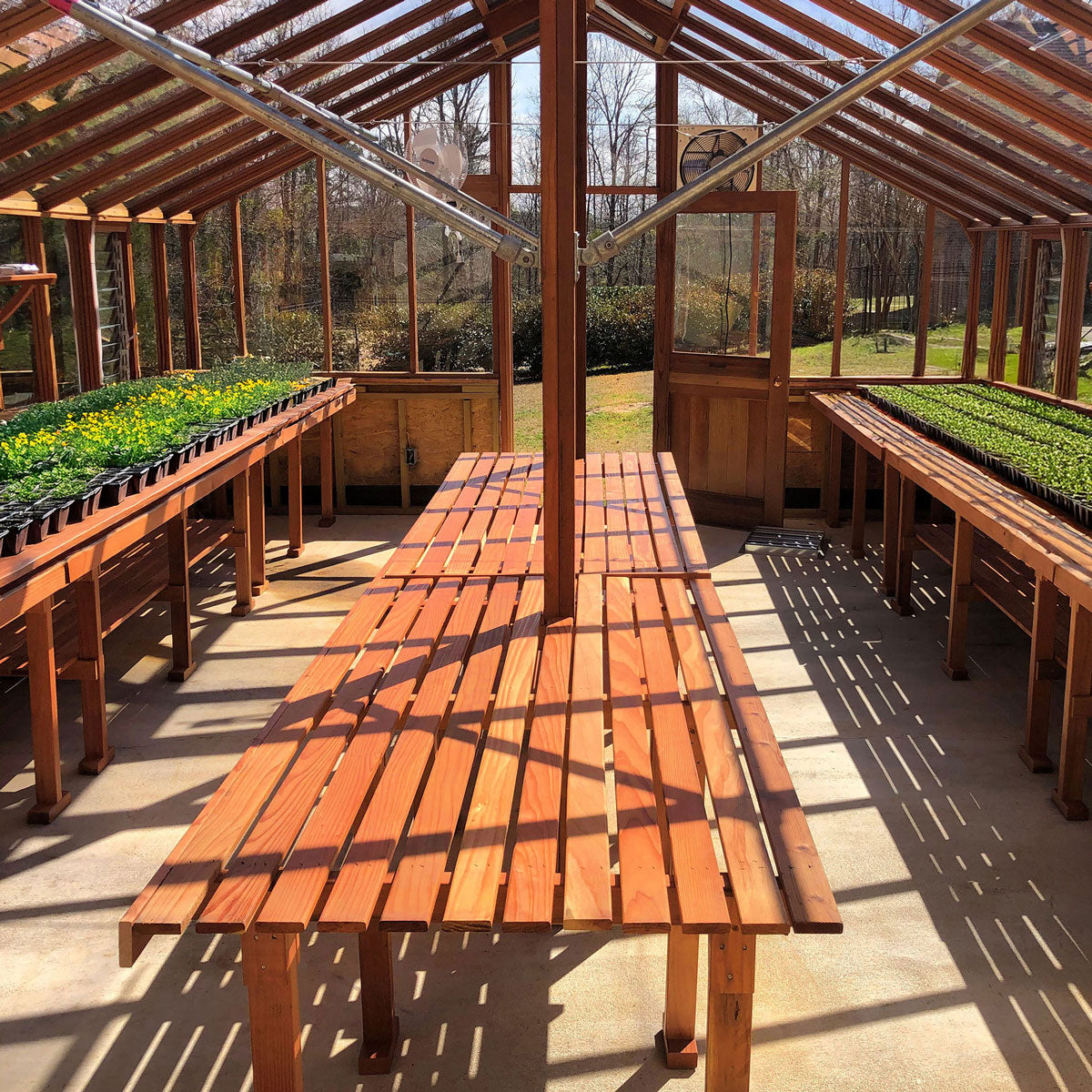 Greenhouse interior with wooden benches and seedling trays.