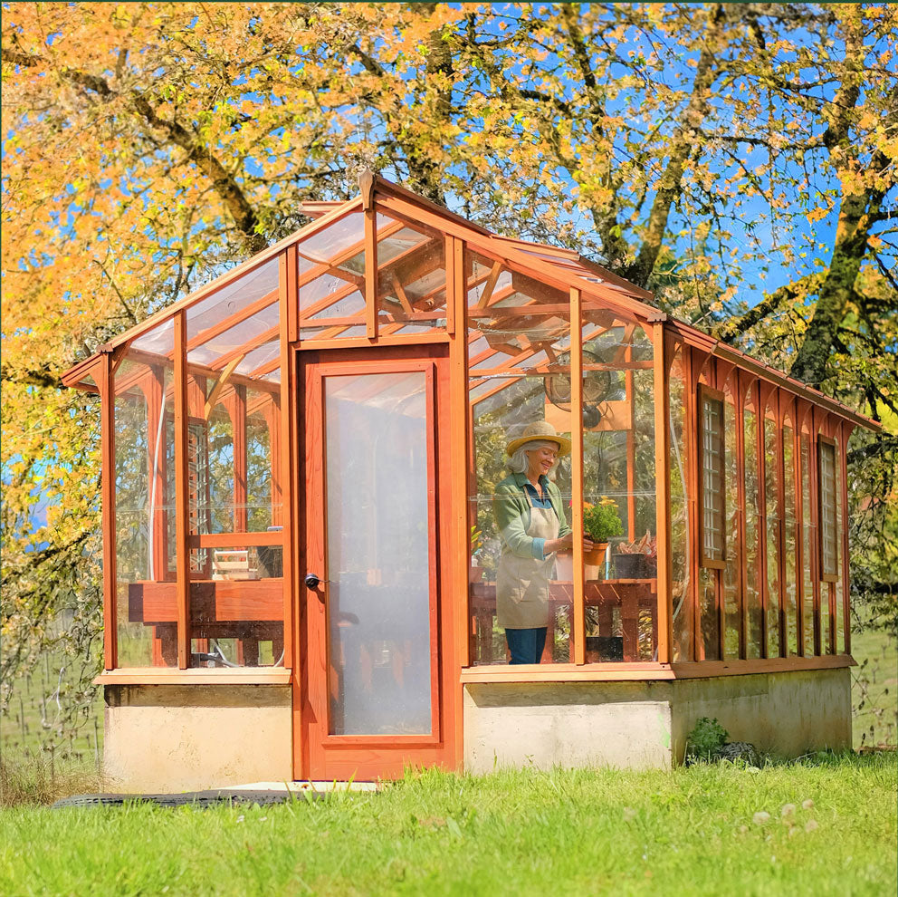 Greenhouse with a person inside, surrounded by trees with autumn foliage.