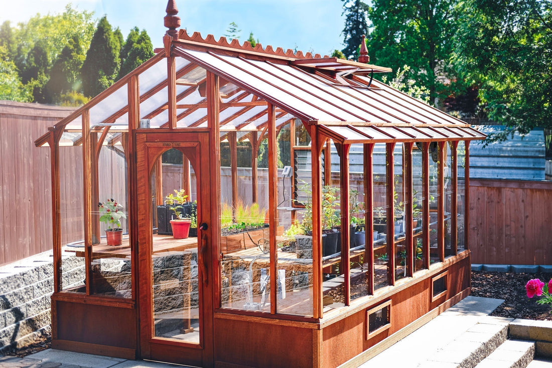 Artisan wooden greenhouse in full sun with no shade cloth, showing natural light exposure and open roof vent for passive cooling.