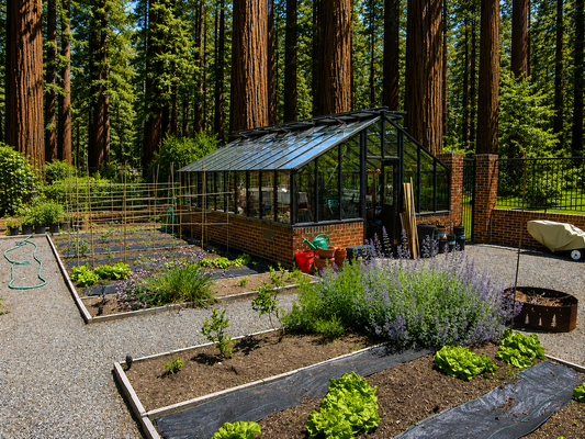 Heirloom 14x20 in Redwood Forest from Sturdi Built
