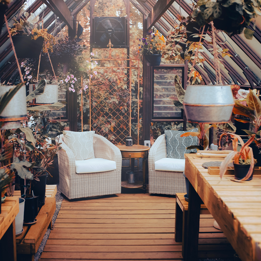 Interior of a luxury greenhouse entertaining space with lounge chairs and hanging plants