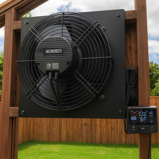 Mastering Greenhouse Humidity: Fall Tips for Thriving Plants