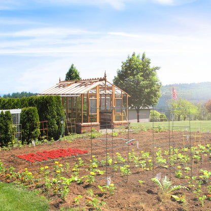 Vegetable garden with an Artisan greenhouse and various plants under a clear blue sky.