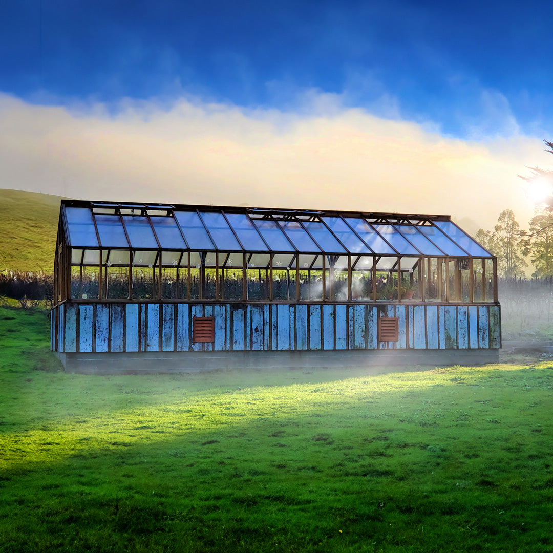 Large greenhouse structure in a grassy field with a blue sky.
